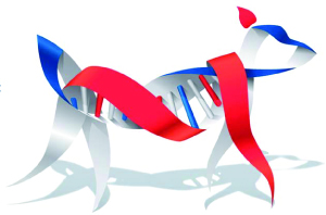 Golatière du Trépont - Identification ADN - SCC
