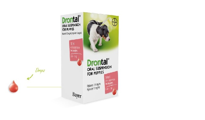 Golatière du Trépont - 2015.01.16_DRONTAL'S DAY