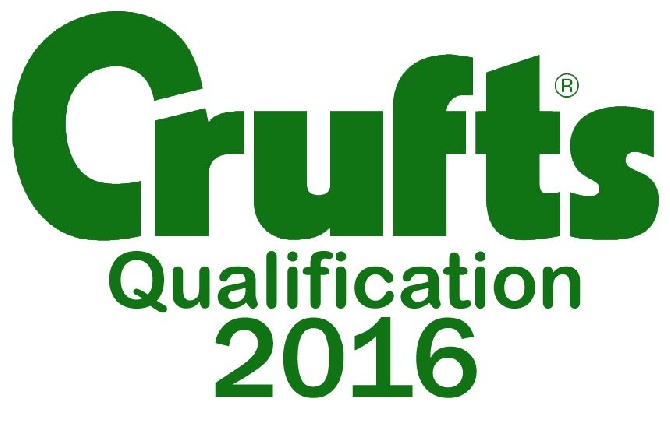 Golatière du Trépont - ICE GdT QUALIFIE POUR CRUFT'S 2016