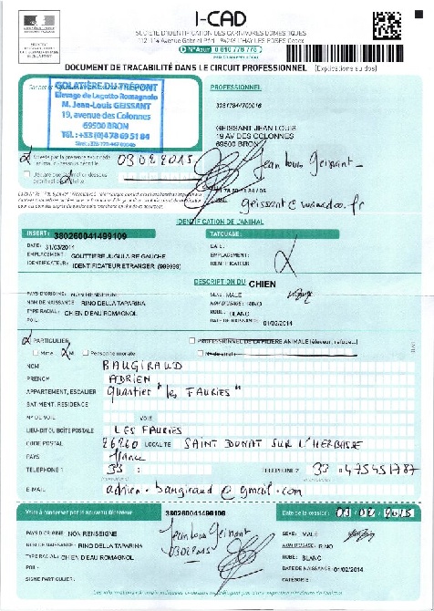 Golatière du Trépont - 2015.02.03_RINO della Taparina a UN an !