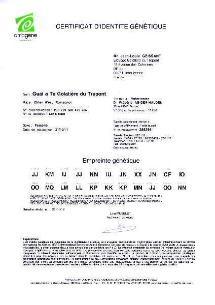 GAI A TE Golatière du Trépont (GdT) (Documents administratifs))